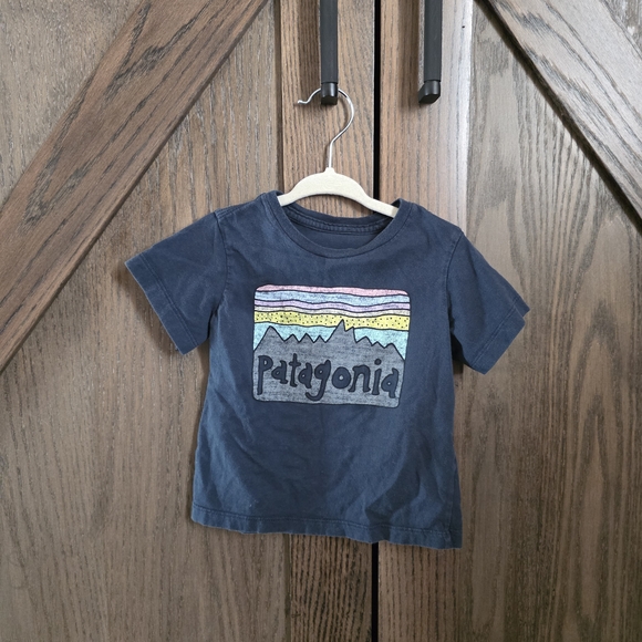 Patagonia Other - Patagonia Kids Blue T-Shirt